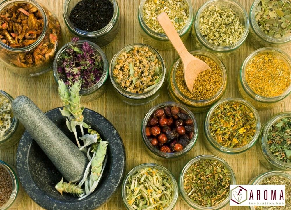 AROMAHUB